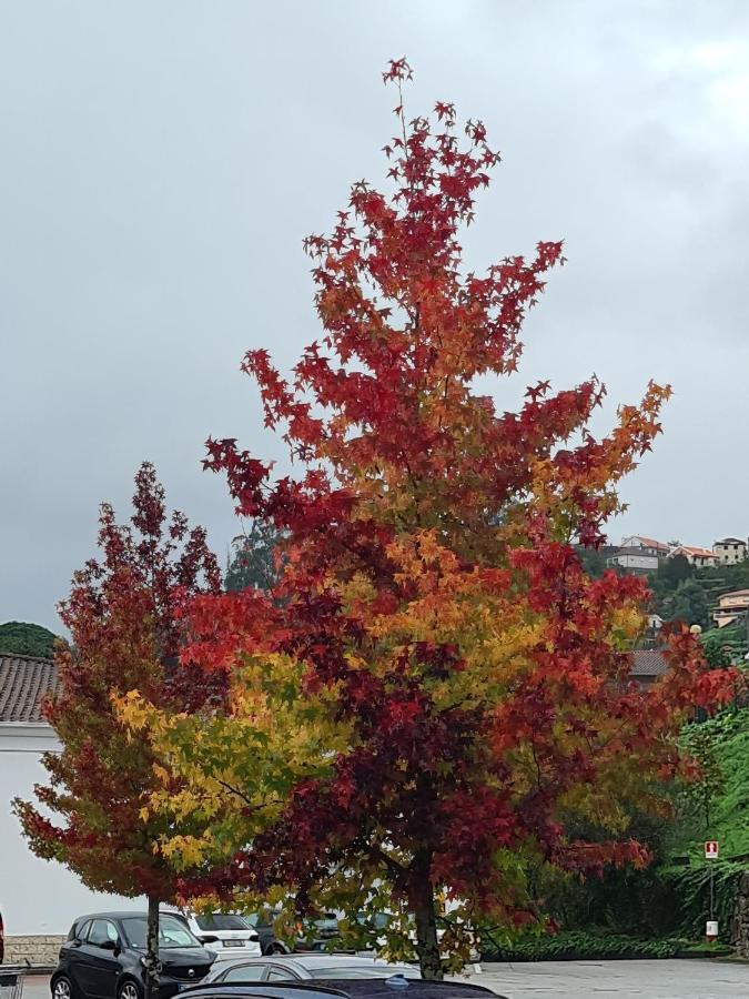 Casa Maria Da Eira Villa Viana do Castelo Dış mekan fotoğraf