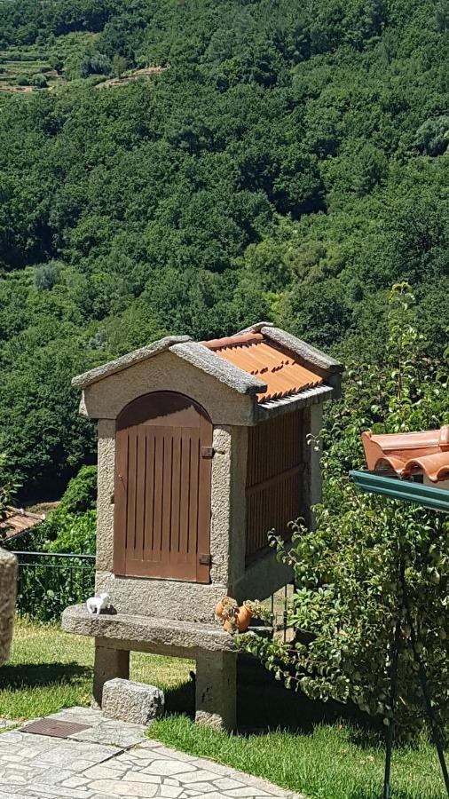 Casa Maria Da Eira Villa Viana do Castelo Dış mekan fotoğraf